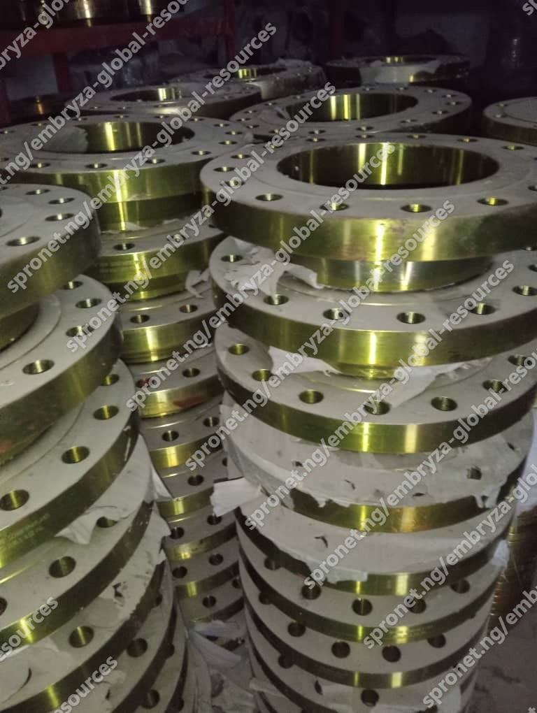 8" Weld Neck Flange Class 300 RF SCH 80